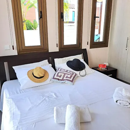 Allamare With A Pool Holiday home Paralimni